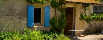 Holiday Rentals in Lacaune