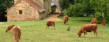 Cottages in Meyrals