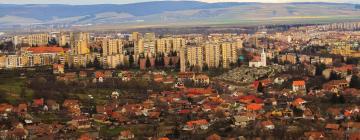 Guest Houses in Sfântu Gheorghe