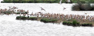 Aluguéis de Temporada em Rainham