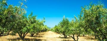 Semesterboenden i Villar de Plasencia