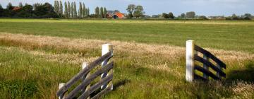 Cottages in Sint Nicolaasga