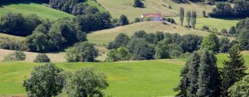 Ski Resorts in Murat-le-Quaire