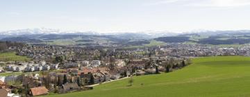 Hotels with Parking in Uzwil