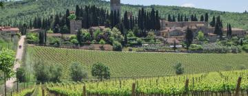 Alquileres vacacionales en Badia A Passignano