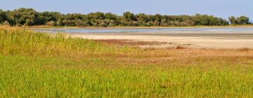 Alquileres vacacionales en la playa en Wallern im Burgenland