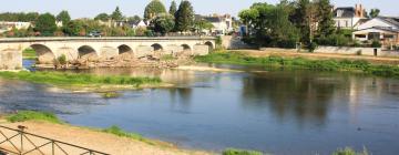 Holiday Rentals in Selles-sur-Cher