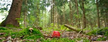 Parkolóval rendelkező hotelek Bobingenben