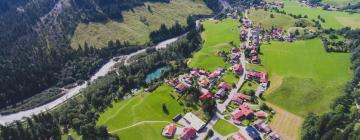 Hoteles con estacionamiento en Hinterstein