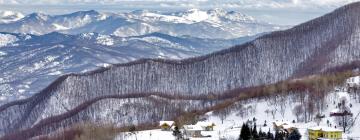 Locations de vacances à Brallo di Pregola