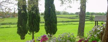 Holiday Rentals in Cesano