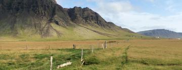 Hoteles con parking en Kálfafellsstaður