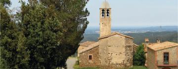 Cabañas y casas de campo en Santa Pellaia