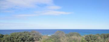 Boenden vid stranden i Sea Park