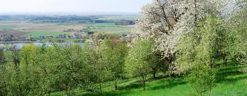 Hotels met Parkeren in Niedergottsau