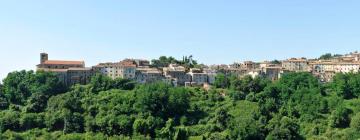 Apartments in Scansano