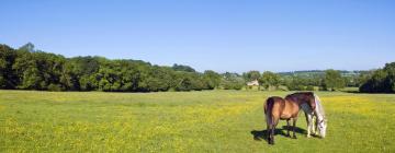 Hotels mit Parkplatz in Hertsberge