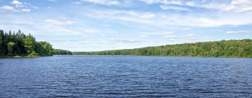 Cottages in Arrowhead Lake