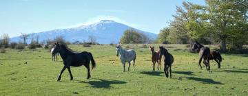 Allotjaments vacacionals a San Fratello