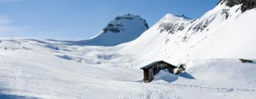 Skiresorts in Arâches-la-Frasse