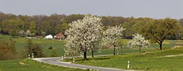 Hotels in Eggersdorf