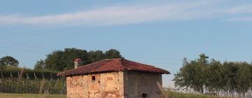 Bed and Breakfasts en Savigliano