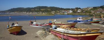 Haustierfreundliche Hotels in Vichuquén