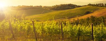 Agroturismes a Castelnuovo Berardenga