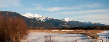 Hoteles en Valemount