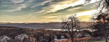 Apartments in Zollikerberg