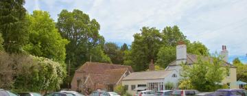 Cottages in Droxford