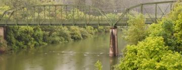 Cottages in Guerneville