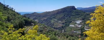 Apartments in Vallebona