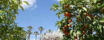 Hoteles familiares en Gerena