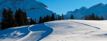 Ski Resorts in Lauenen