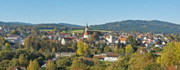 Apartments in Viechtach