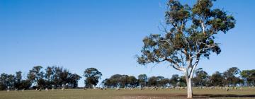 Hotels mit Parkplatz in Kelmscott