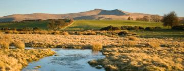 Beach rentals in Tregynon