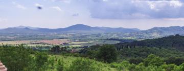 Holiday Rentals in Frosini