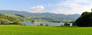 Pet-Friendly Hotels in Morlon