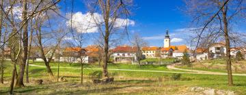 Vacation Homes in Ludbreg