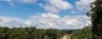 Hotéis em Tambopata