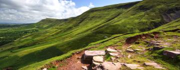 Bed & Breakfasts in Talgarth