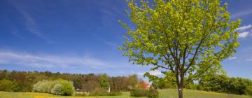 Hotels in Schwarzenbruck