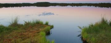 Ferienwohnungen in Ilmatsalu