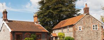 Cottages in Diss