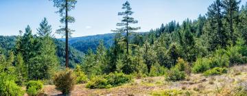 Cottages in Cazadero