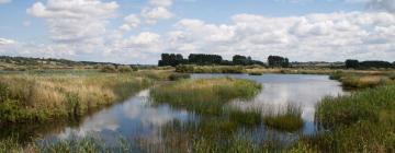 Hôtels avec parking à Lakenheath