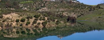 Cabañas y casas de campo en Jimera de Líbar