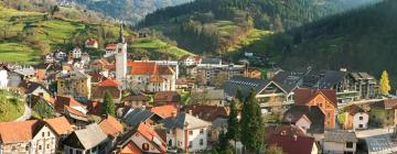 Appartements à Cerkno